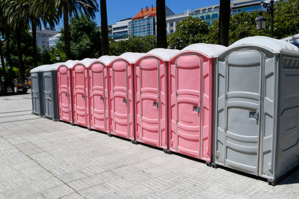 Best Portable Toilets with Baby Changing Stations  in Sunset Hills, MO